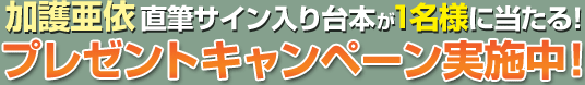 �ø��ľɮ�������������ܤ���̾�ͤ������롪�ץ쥼��ȥ����ڡ���»��桪