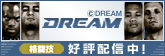 �������������ꤹ���̴�ɤ������DREAM��