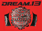 DREAM.13