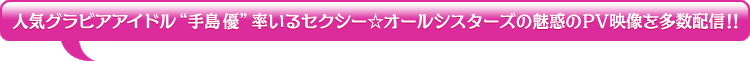 �͵�����ӥ������ɥ�ɼ���ͥ��Ψ���륻�������������륷����������̥�Ǥ�PV������¿���ۿ�����