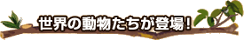 世界の動物たちが登場!