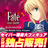 Fate/stay night �����С� ������ե����奢�������䡪