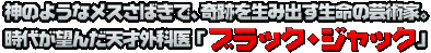 ���Τ褦�ʥ᥹���Ф��ǡ����פ����߽Ф���̿�ηݽѲȡ����夬˾���ŷ�ͳ��ʰ�إ֥�å�������å���