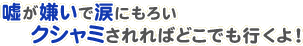 �����������ޤˤ����������ߤ����Фɤ��Ǥ�Ԥ��衪