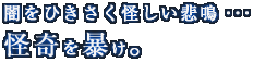 �Ǥ�Ҥ��������������ġ������˽����