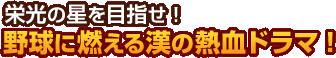 �ɸ��������ܻؤ�������ǳ�������Ǯ��ɥ�ޡ�
