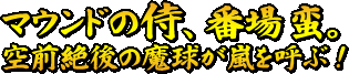 �ޥ���ɤλ����־� �ڡ�����������夬���Ƥ֡�