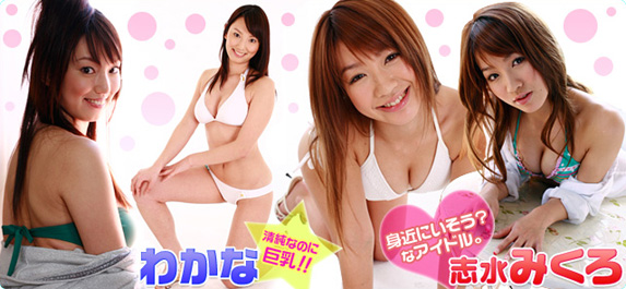 �⤮���ƥ���ɥ�NOW!