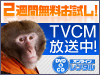 DVD��CD��󥿥� ����TVCM�����桪