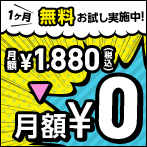 DVD/CDレンタル月額サービスが初回無料お試し！