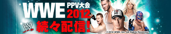WWEPPV大会