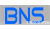 BNS