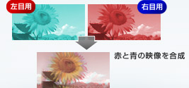 アナグリフ規格 画像01