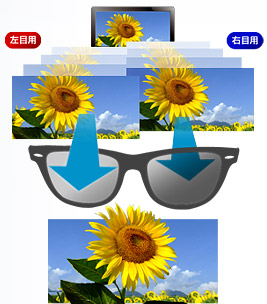 Blu-ray 3D規格 画像02
