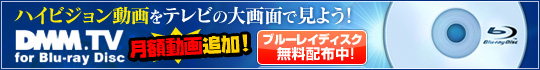 �ϥ������ư���ƥ�Ӥ�����̤ǡ��֥롼�쥤�ǥ�����̵�������桪