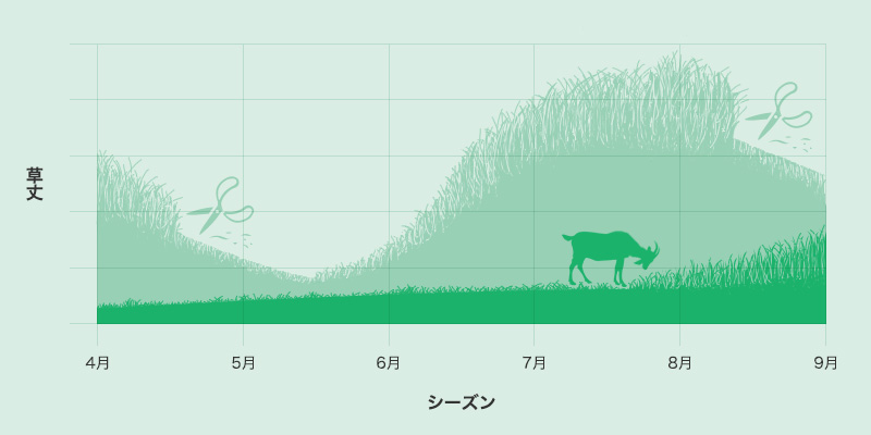 草丈のグラフ
