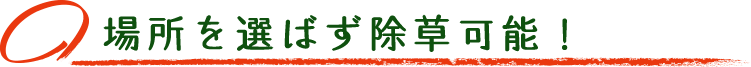 場所を選ばず除草可能!
