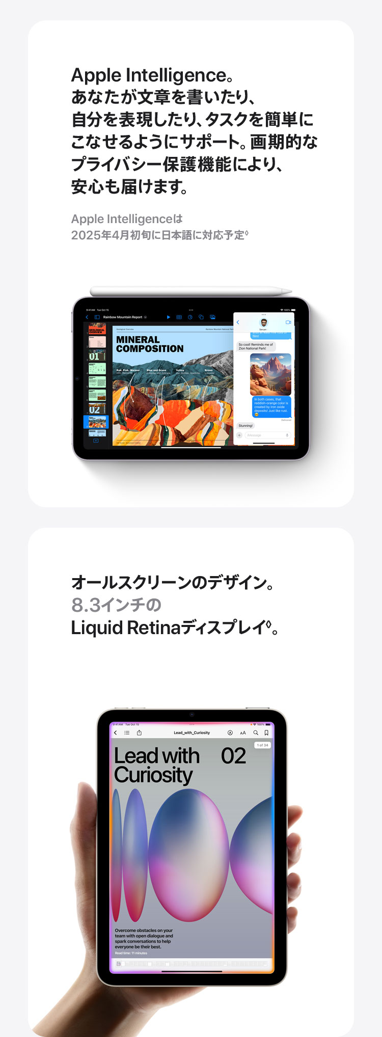 iPad mini - Apple Rewards Store DMM通販