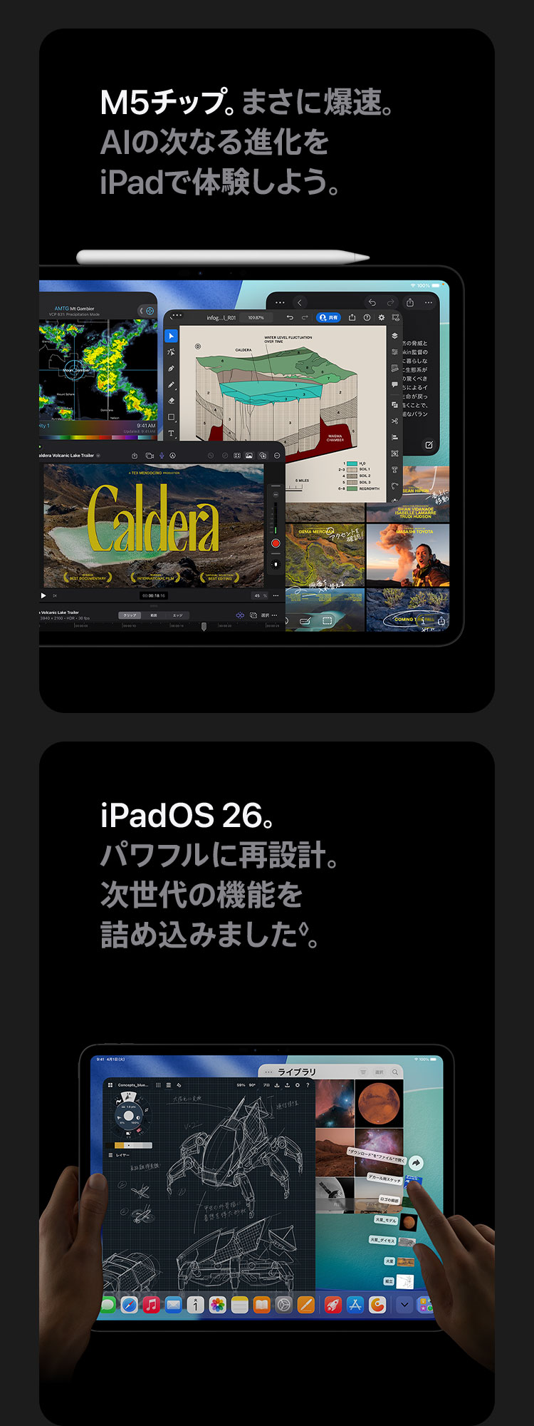 iPad Pro - Apple Rewards Store DMM通販